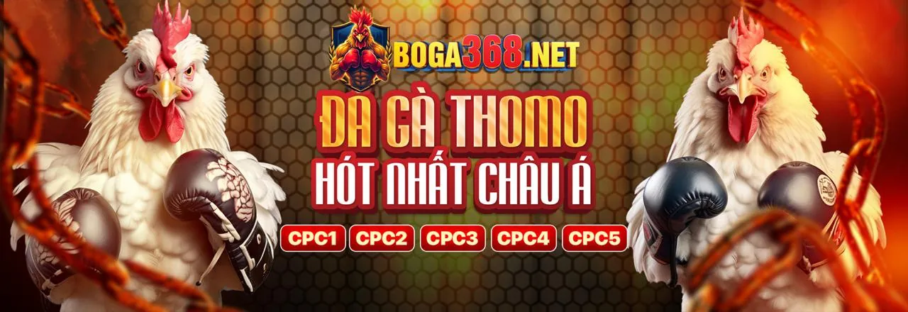 Hình ảnh chính của blog 7789bet iOS